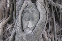 Archäologischer Park Ayutthaya