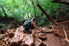 Auf dem Weg zur Grotte